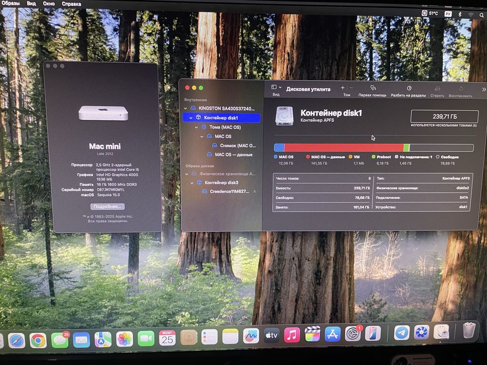 Mac mini 2012 8/256