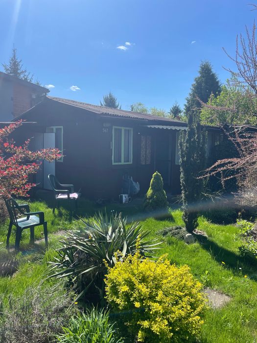 Pilnie sprzedam ogródek działkowy ROD RAJ