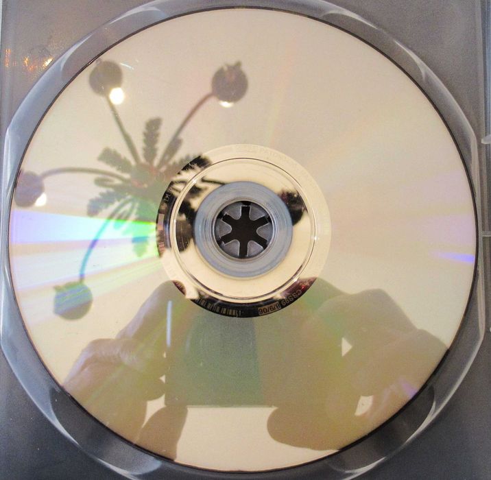Rapariga Com Brinco de Pérola - DVD (Ref. 20)