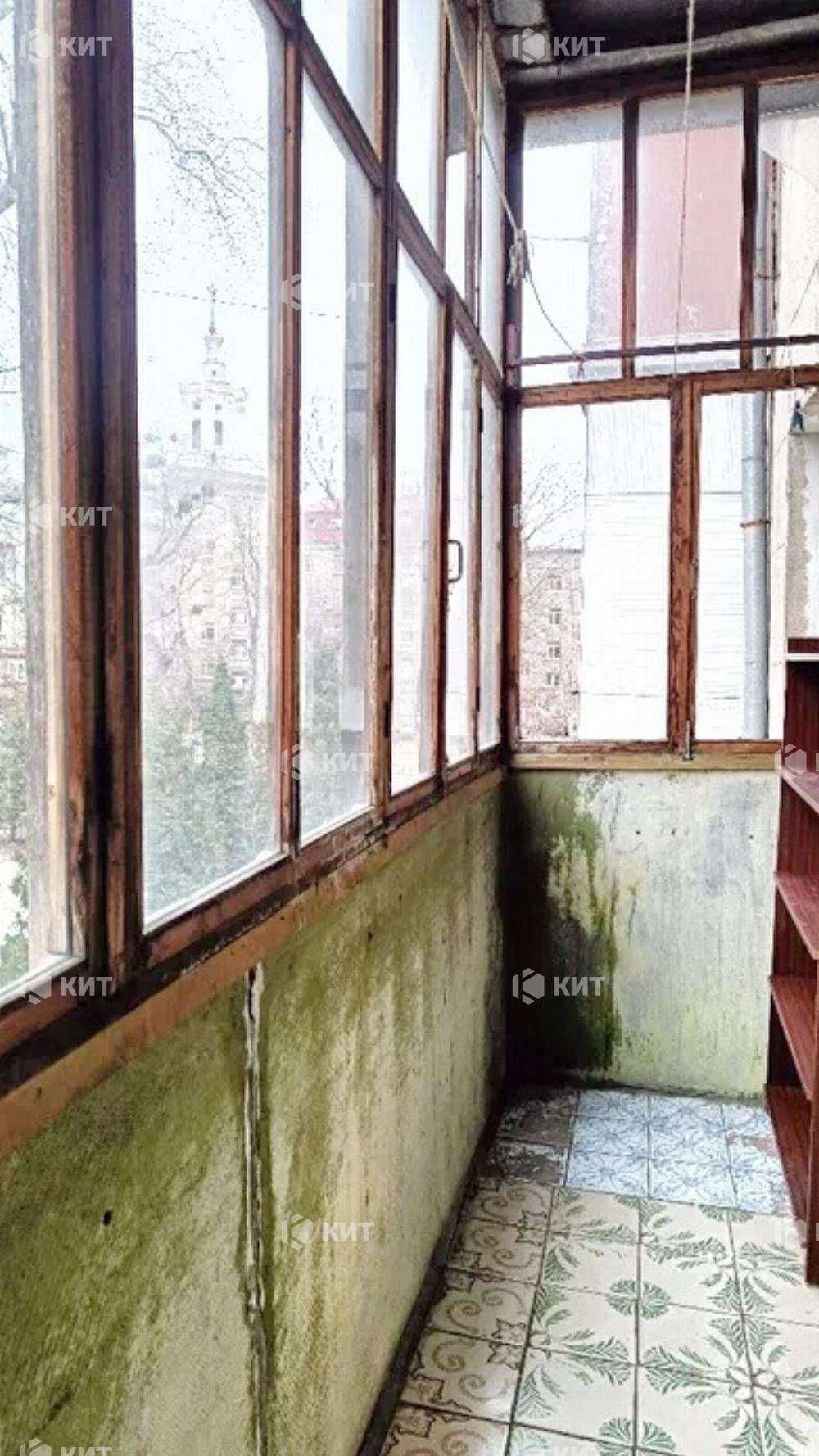 2к. 52м2 Центр (ул. Мироносицкая 99, Парк Горького) 128884