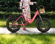 Bicicleta elétrica Engwe L20
