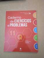 11Q - Química 11º Ano - Caderno  (NOVO)