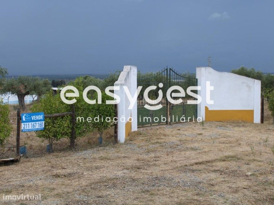 Terreno Rústico em Serpa