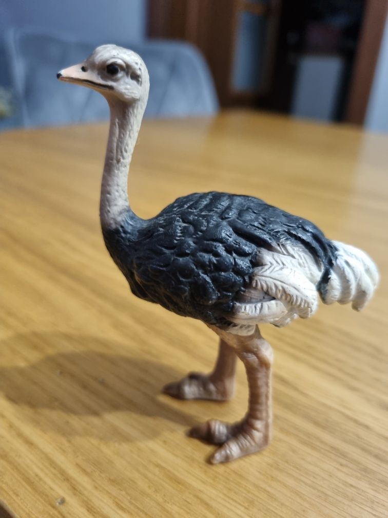 Struś schleich figurka