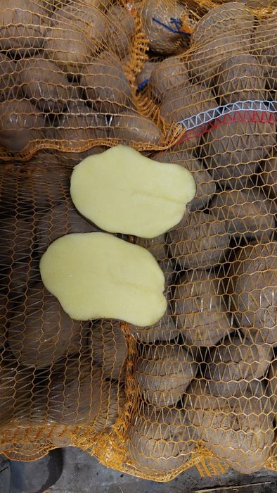 Ziemniaki żółte Vineta (wineta)