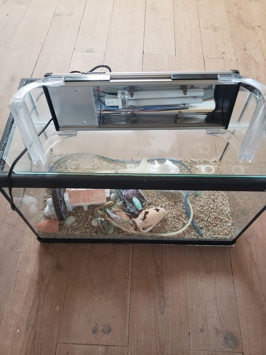 Aquario, Aquecedor Submersível ,iluminaçâo, decoração