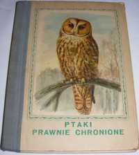 Ptaki prawnie chronione prof. Jan Sokołowski 1964