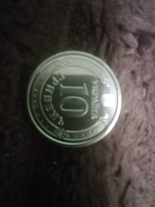 Копійка Антонівський міст