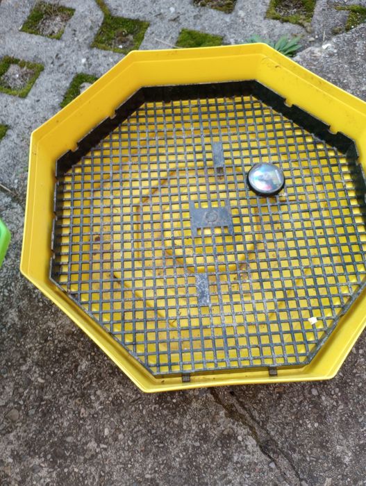 Sprzedam inkubator z dokładka Cleo 5