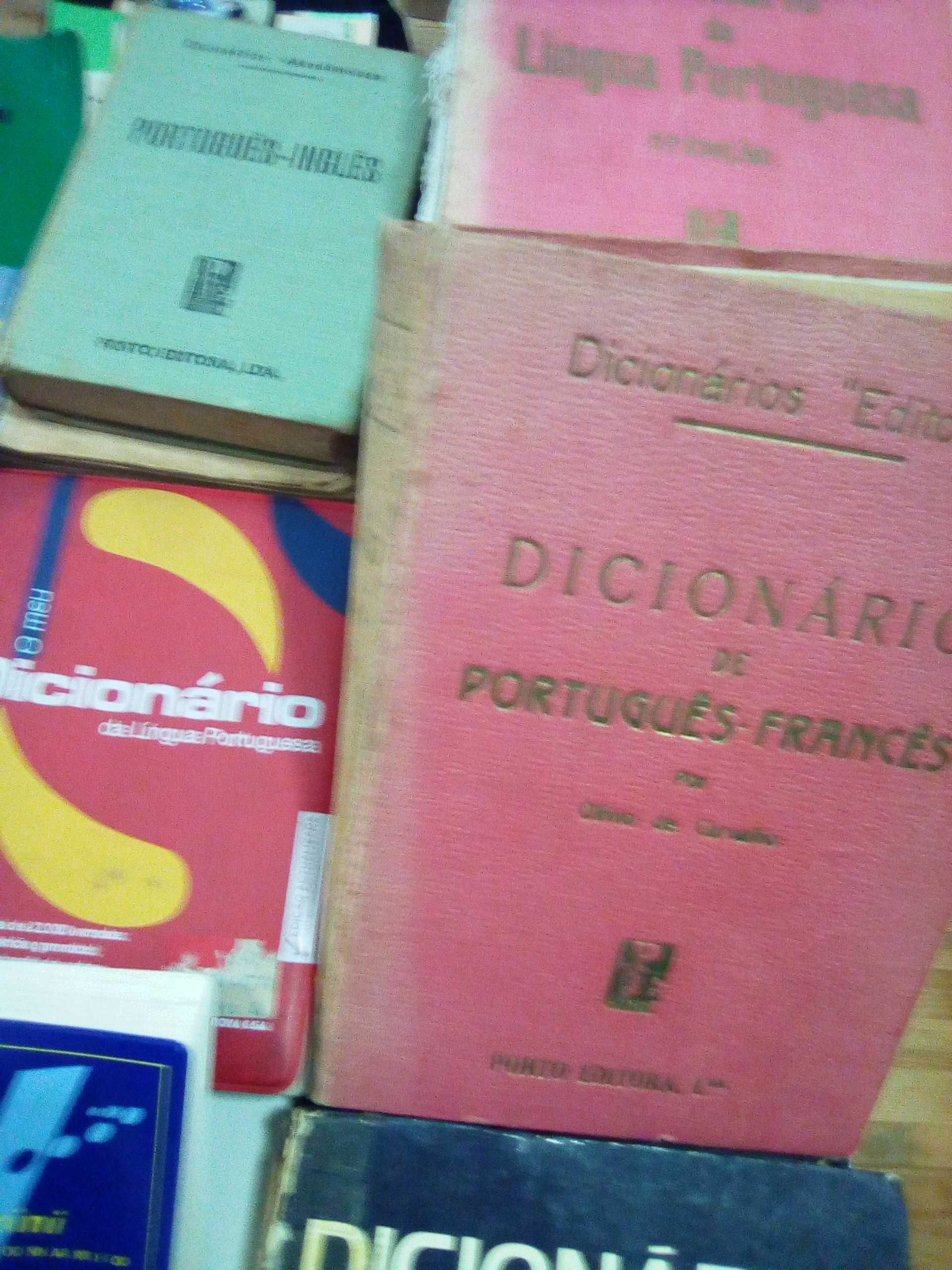 dicionários diversos