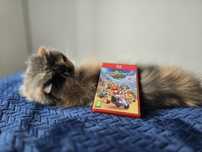 Mario Kart World Switch 2 nowa bez folii