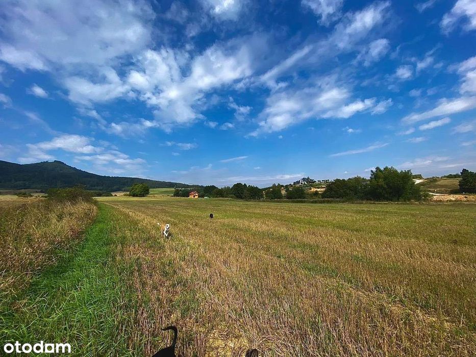 PIĘKNE DZIAŁKI przy Przełęczy Kłodzkiej! OSTATNIE!