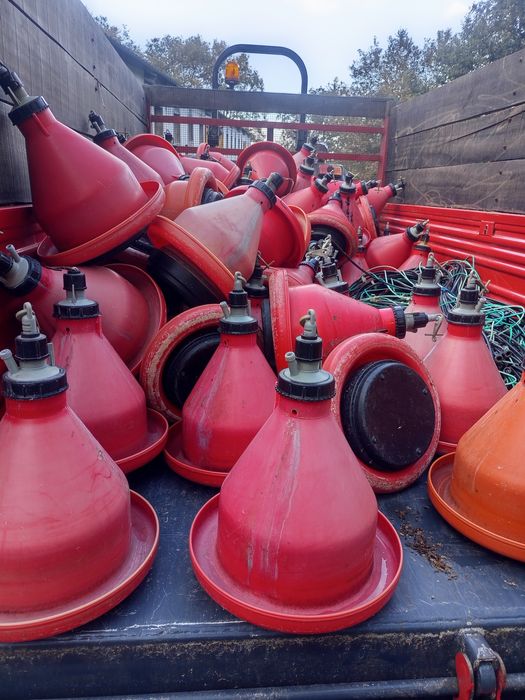 Bebedouros para aviário