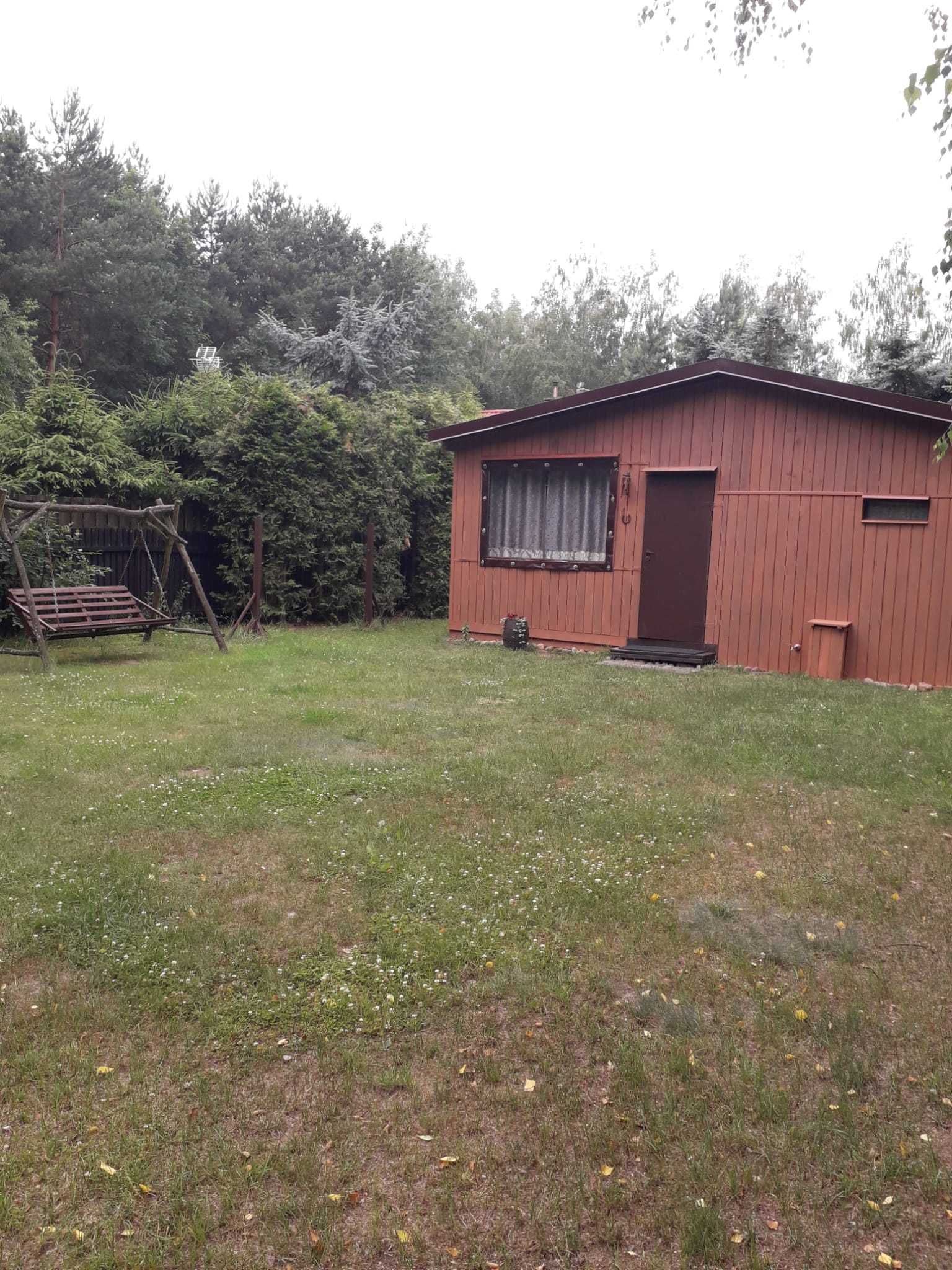 Domek letniskowy do wynajęcia na Mazurach Marksewo Szczytno / nocleg