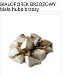 Bialoporek brzozowy