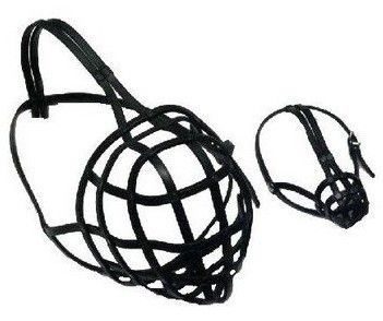 Profilowany kaganiec skórzany dla psa wielkości pudla Chaba Rozmiar 1