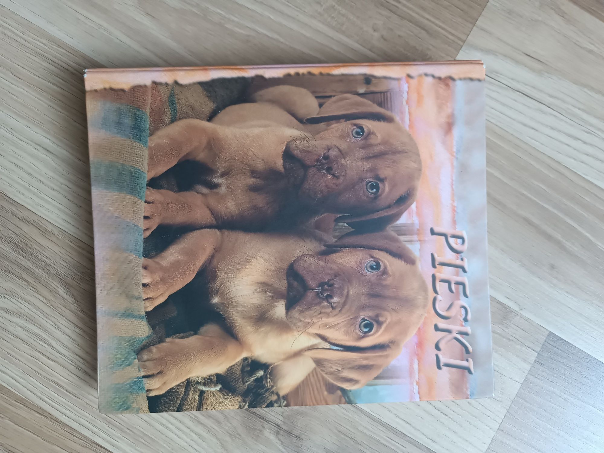 Segregator + zestaw karteczek Cleo&Frank, Beniamin, Baby Dogs