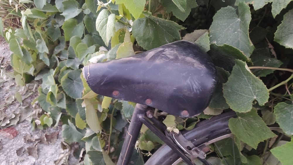 Bicicleta pasteleira