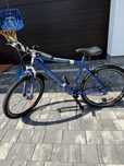 Rower kross hexagon v3