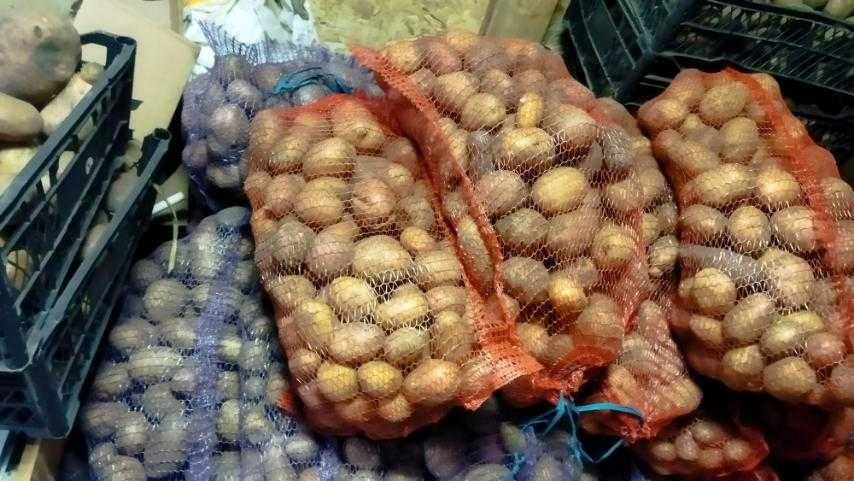 Продам картоплю домашню Київська область