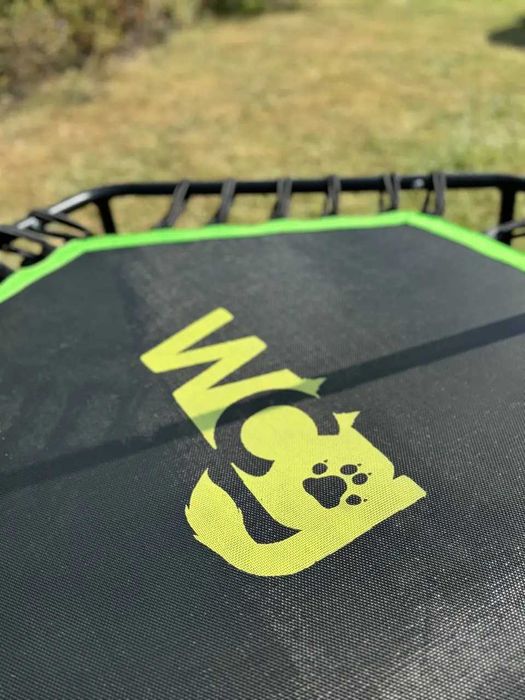 Фітнес-батут для тренувань з ручкою WCG Jumper