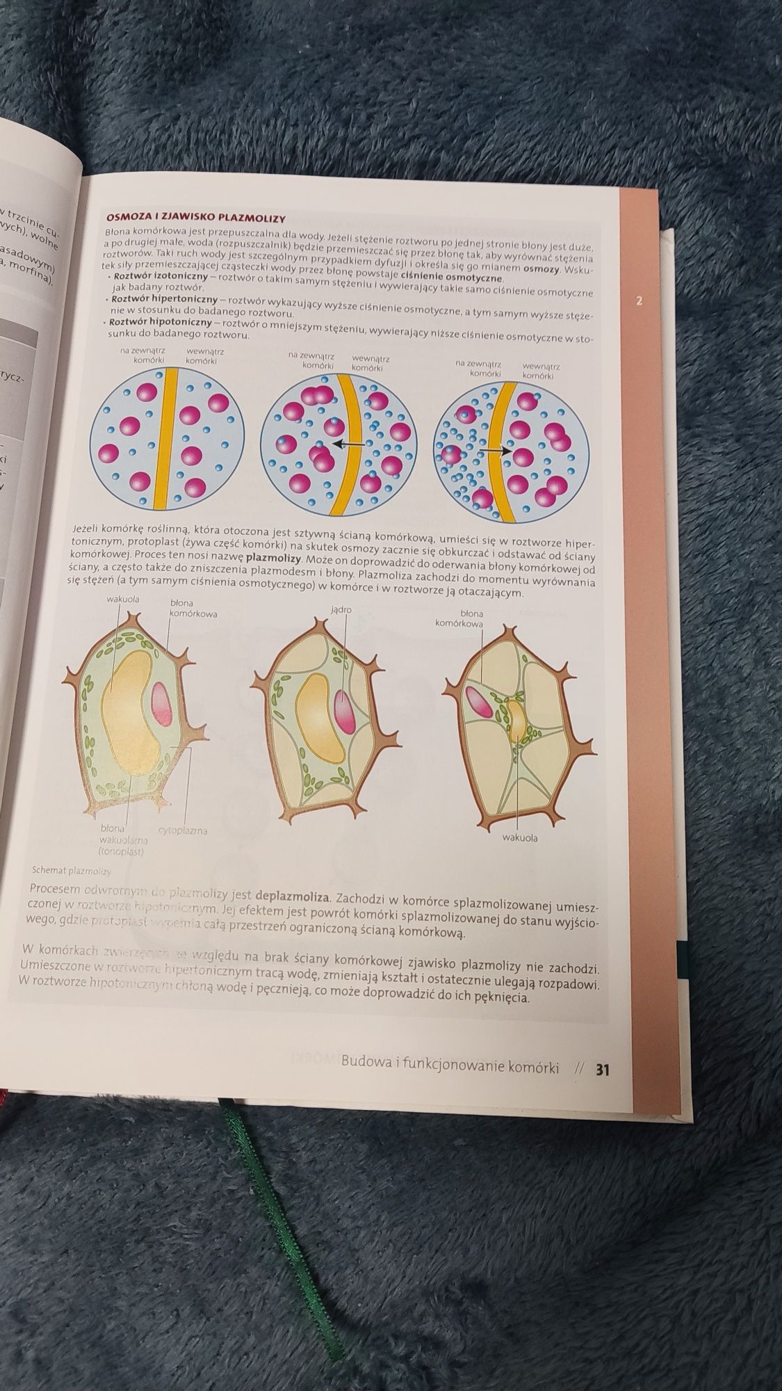 Vademecum Biologia wyd. Operon