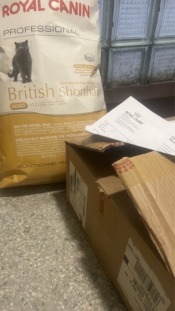 British Shorthair Adult 13kg • RC Karma dorosły kot ℹ️ Maine coon inne