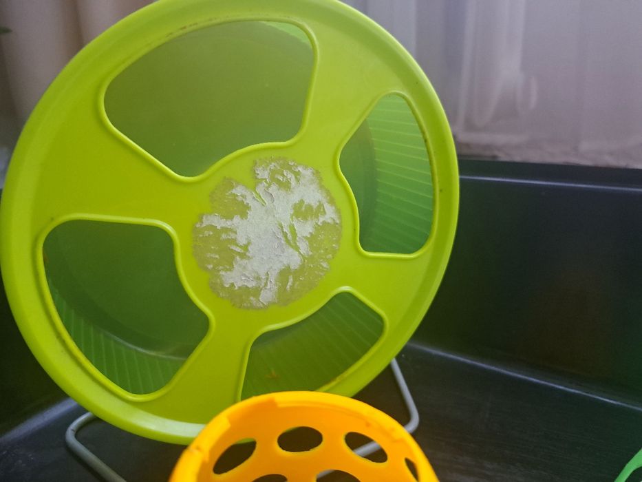 Klatka z akcesoriami