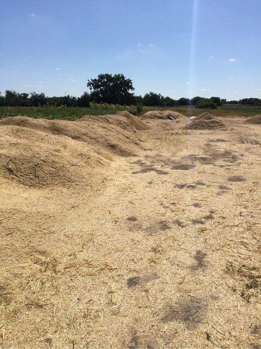 Закуповуємо відходи соняшника, зернових та ріпакових культур