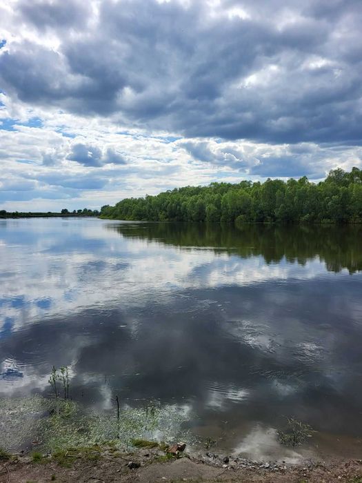 Продам будинок в селі Надинівка.