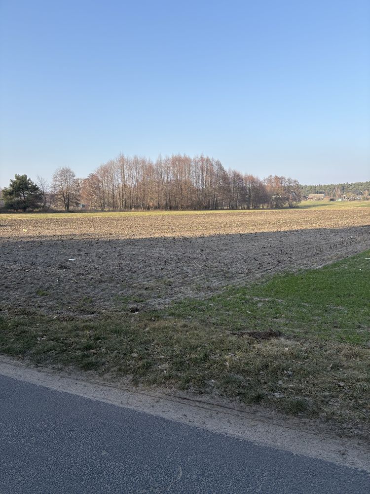 Działka w miejscowości Lubonieczek BEZPOŚREDNIO!