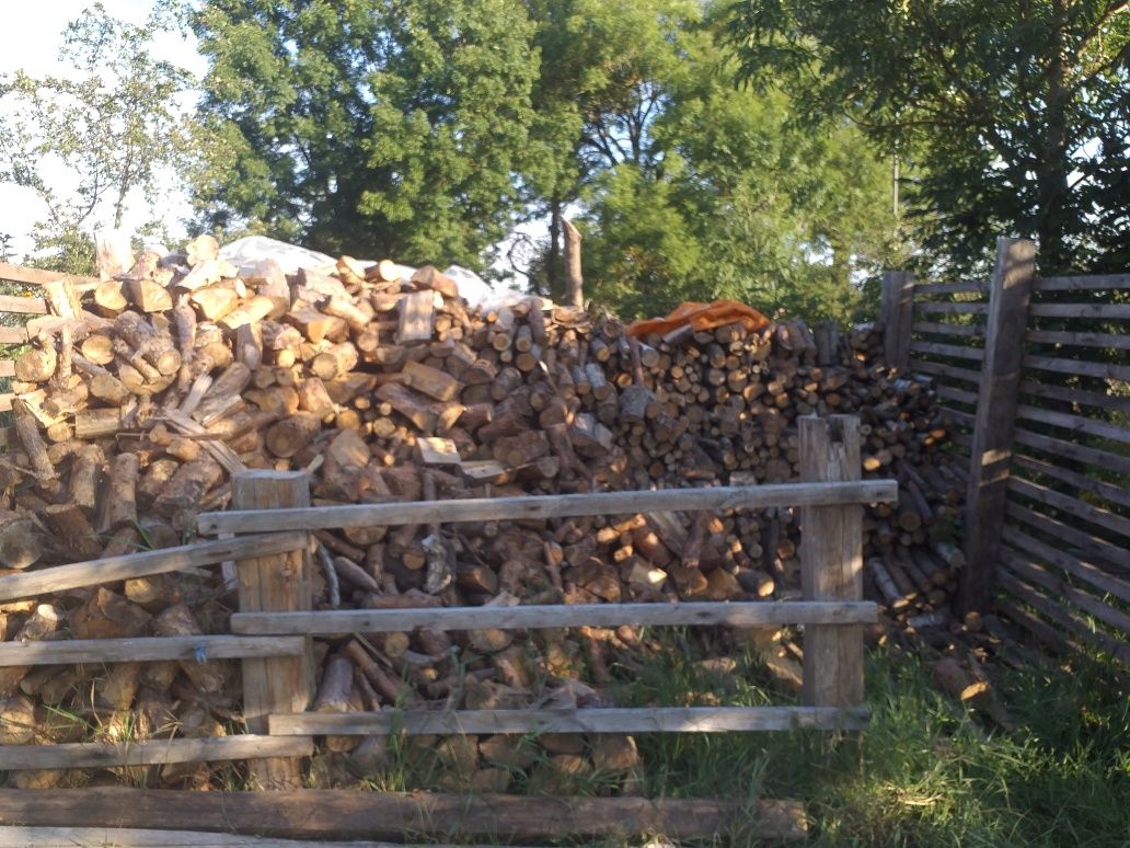 Drewno opałowe iglaste i liściaste