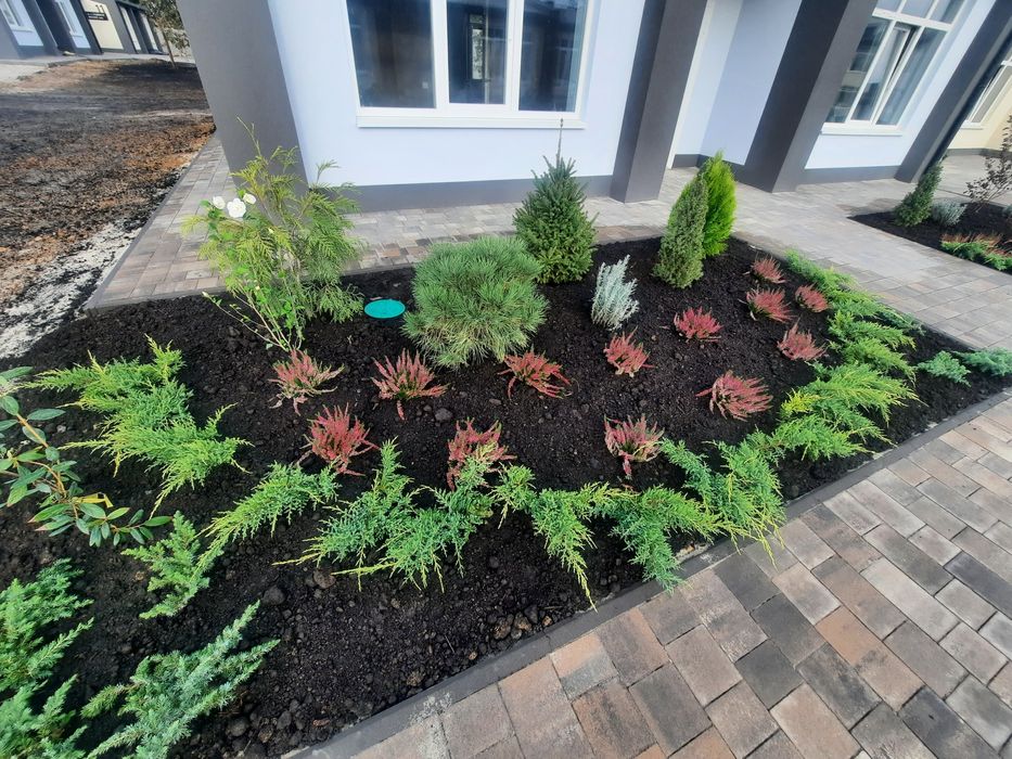 Виконую садові послуги, планування під газон,покос газона,скарифікація