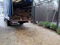 Вывоз строительного мусора Строймумора Хлама ветки листя