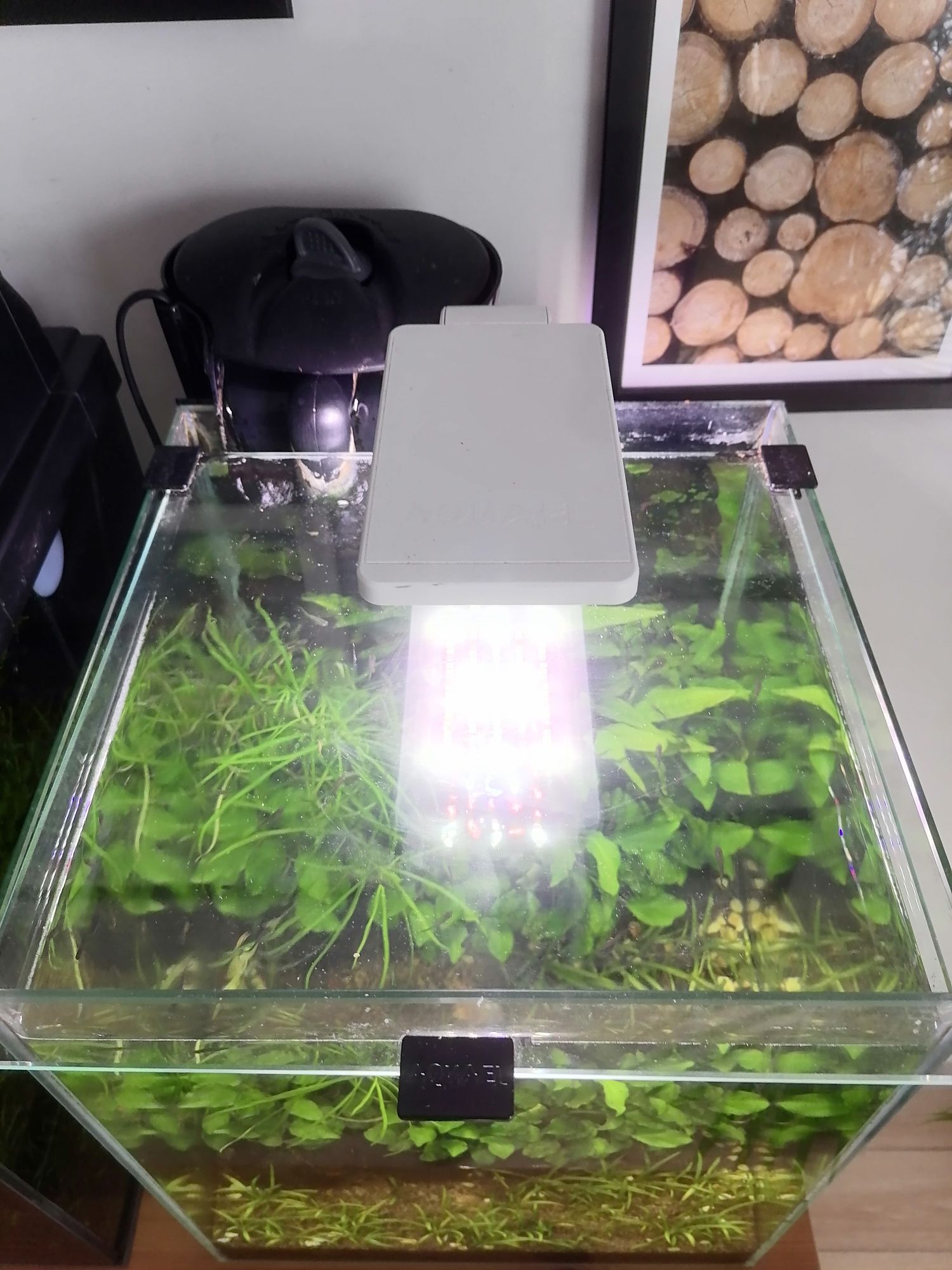 Akwarium 30l aquael