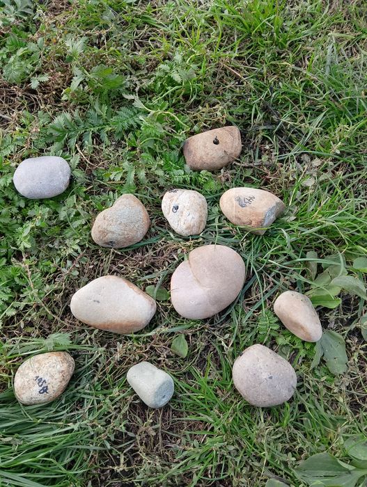 Kamienne ciężarki karpiowe