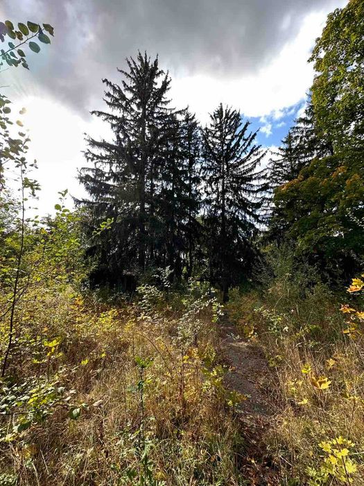 Продам бывший детский лагерь в центре пгт. Высокий