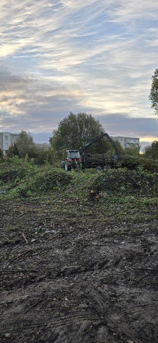 Wycinka drzew krzewów itp.