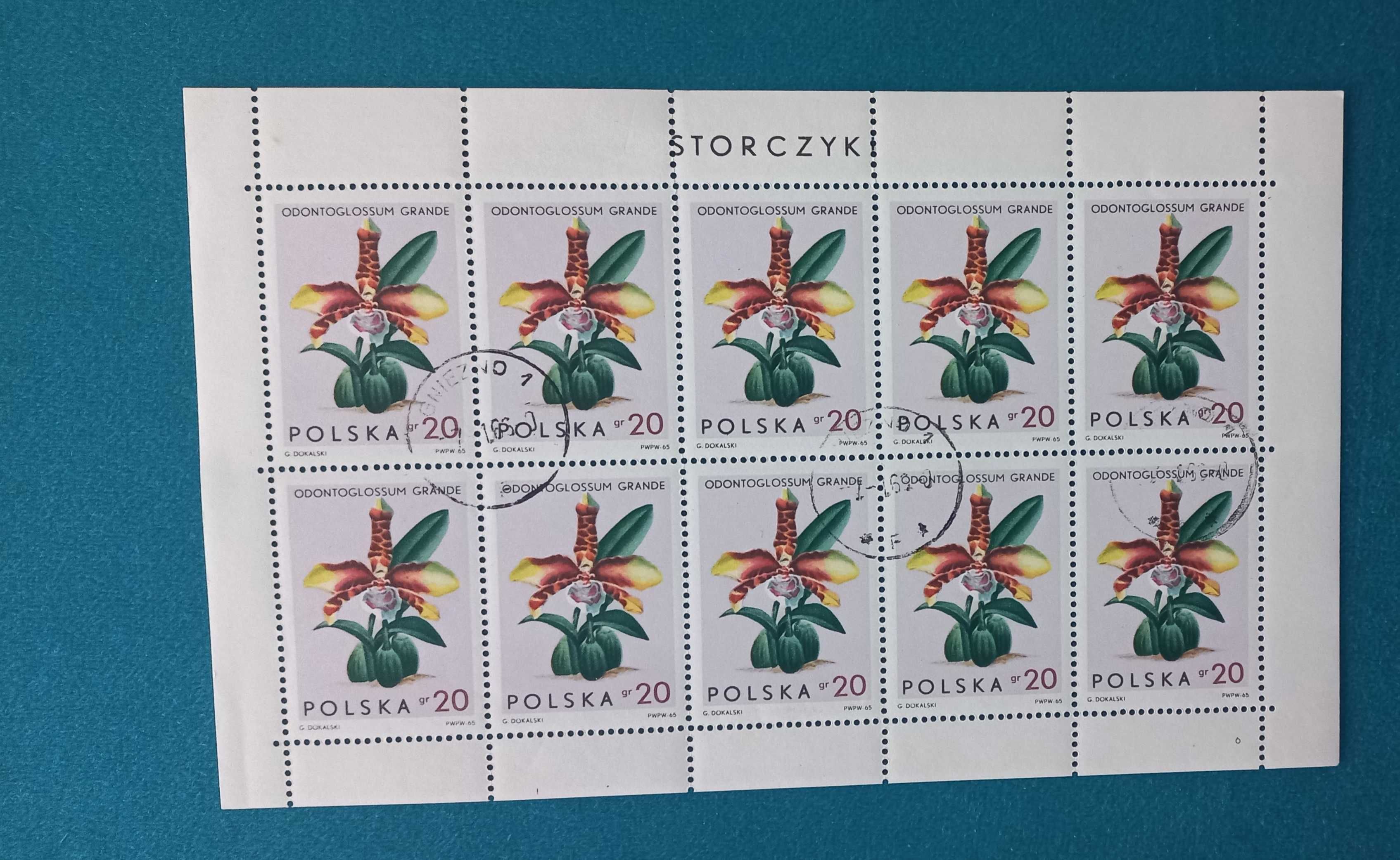 Arkusik znaczków pocztowych - flora 1965