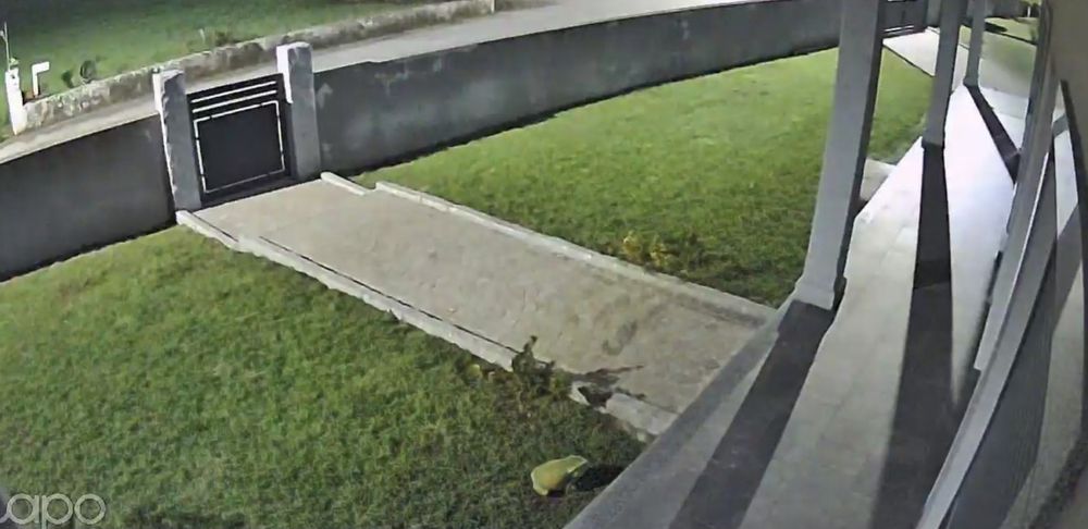 Câmaras de vigilância