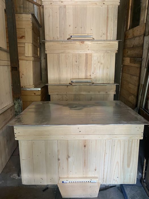 Різні утеплені вулики дадани, українці, бджоли