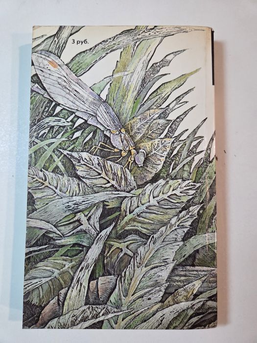 Мир приключений. Необыкновенный приключения Карина и Вали. Ян Лариса.