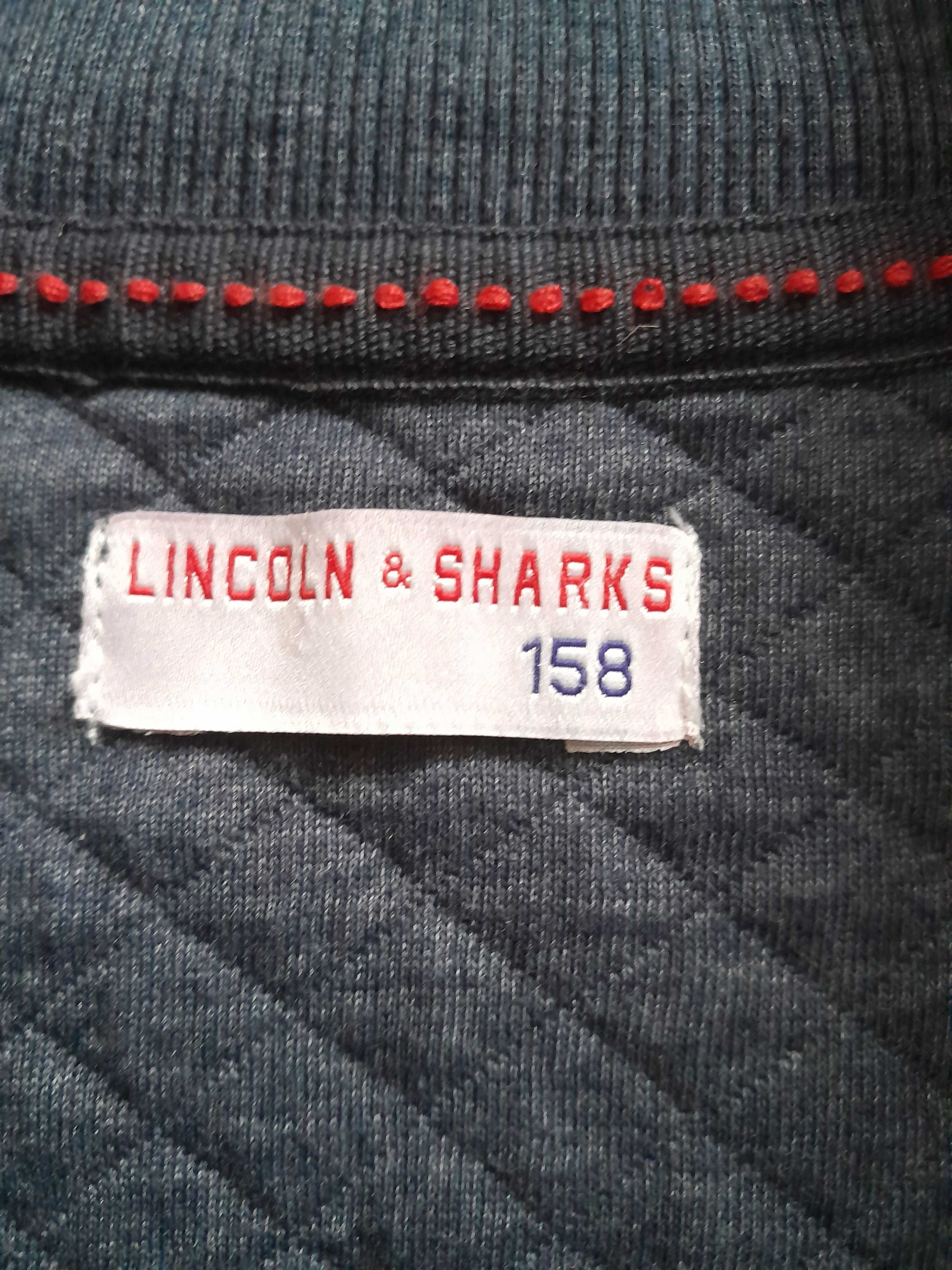 Niebieskoszara bluza na zamek 158 Lincoln & Sharks