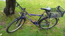Rower Wheeler 26'