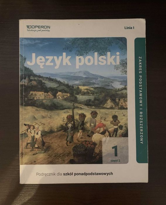 Język polski podręcznik liceum technikum klasa 1