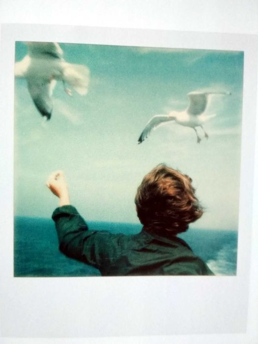 The Polaroid Book - Taschen (porte incluído)