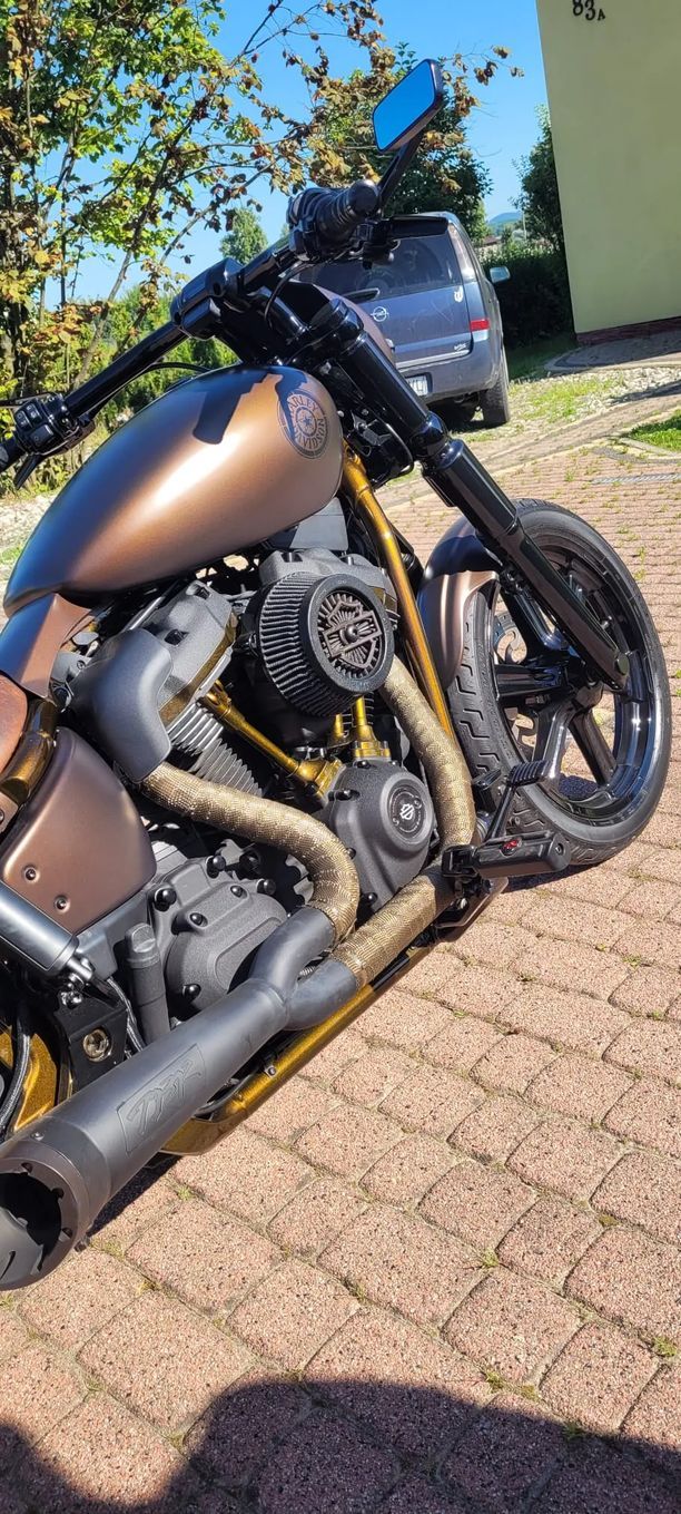 Harley-Davidson Softail Street Bob Harley Davidson street bob 107 Custom