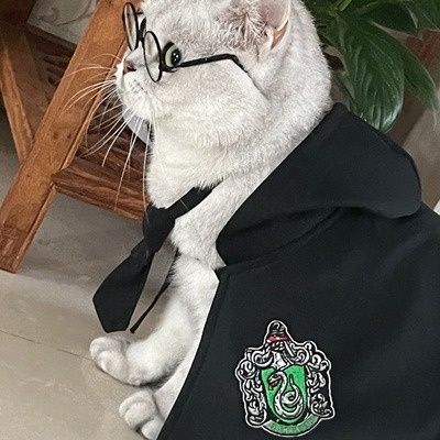 Disfarce/Roupa Harry Potter para Cães e Gatos