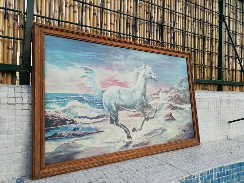 Quadro de Cavalo Branco Lindo