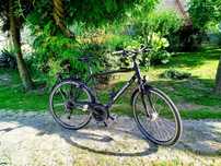 Rower trekkingowy Winora Jamaica